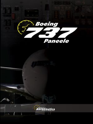 cover image of Boeing 737  Paneele
